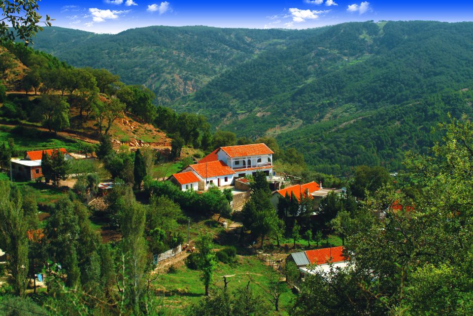 Ain Draham: Joyau du Nord-Ouest