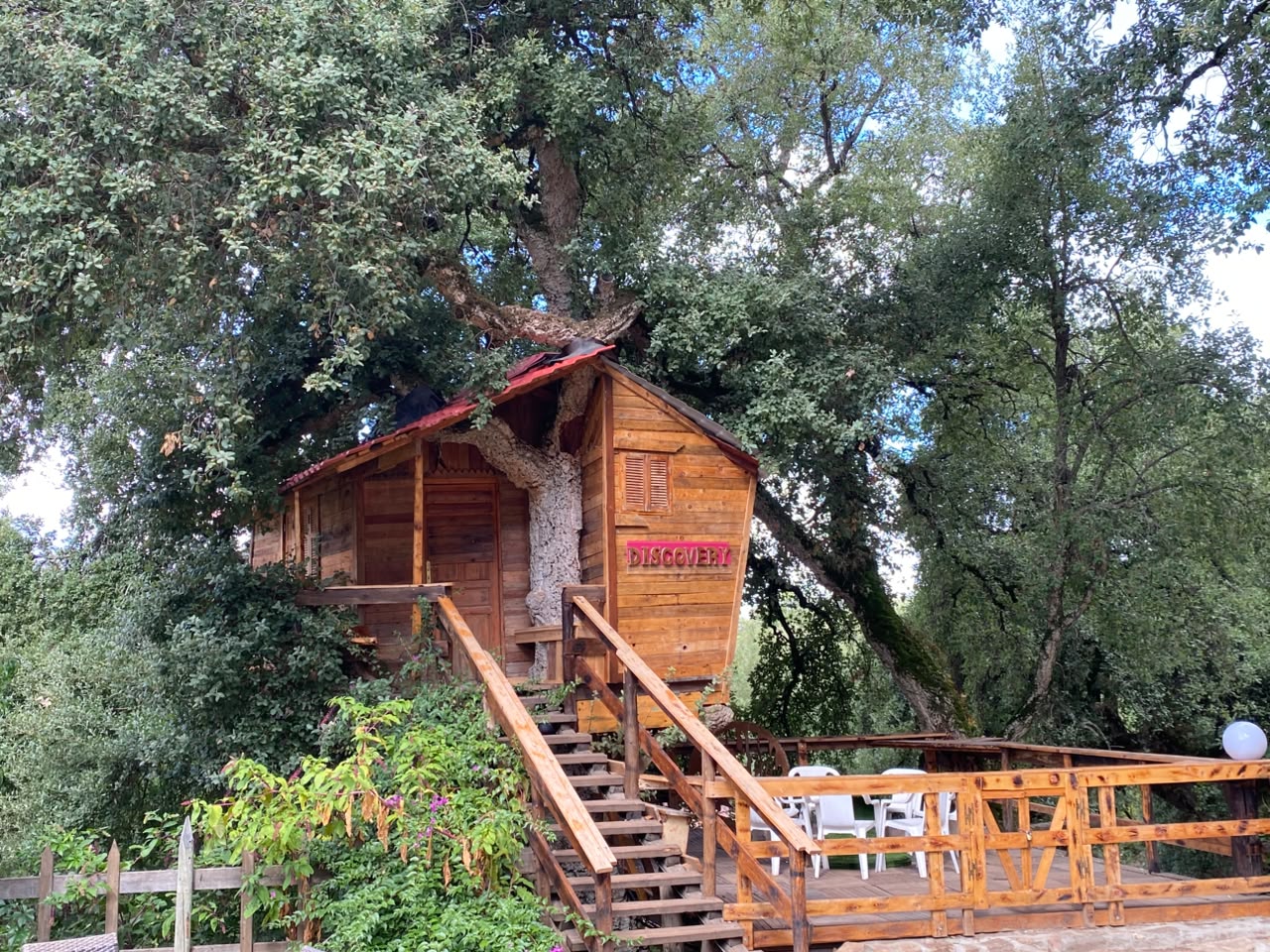 Tree House